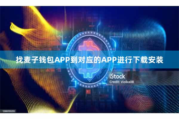 找麦子钱包APP到对应的APP进行下载安装