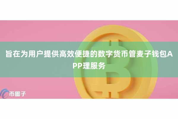 旨在为用户提供高效便捷的数字货币管麦子钱包APP理服务
