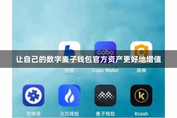 让自己的数字麦子钱包官方资产更好地增值