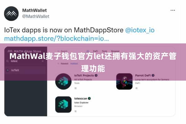 MathWal麦子钱包官方let还拥有强大的资产管理功能