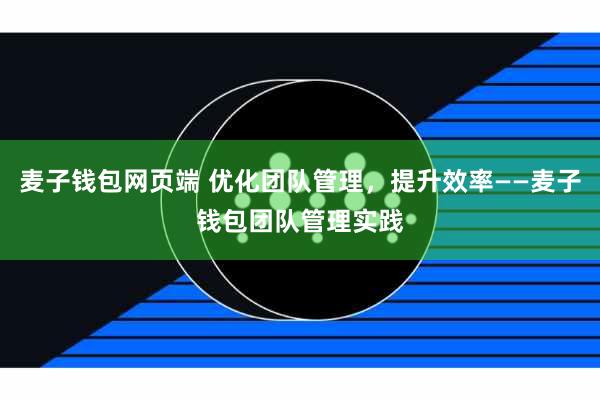 麦子钱包网页端 优化团队管理,提升效率——麦子钱包团队管理实践