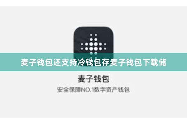 麦子钱包还支持冷钱包存麦子钱包下载储