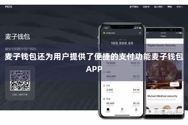 麦子钱包还为用户提供了便捷的支付功能麦子钱包APP