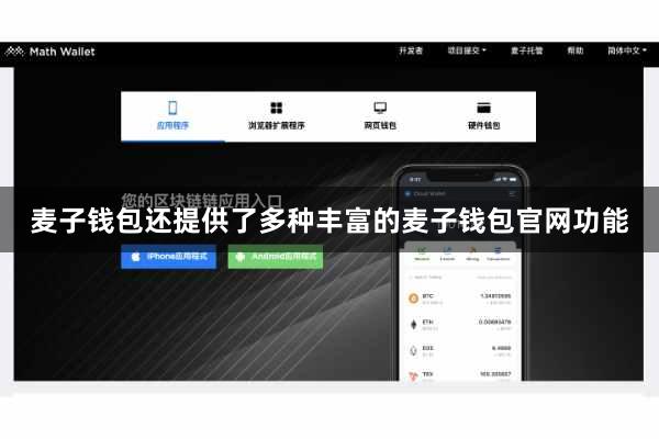 麦子钱包还提供了多种丰富的麦子钱包官网功能