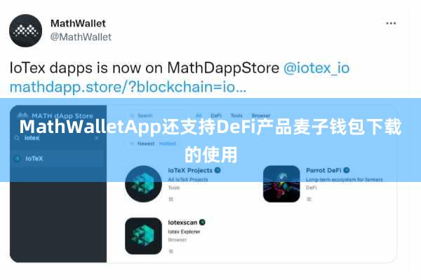 MathWalletApp还支持DeFi产品麦子钱包下载的使用