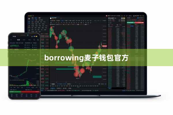 borrowing麦子钱包官方