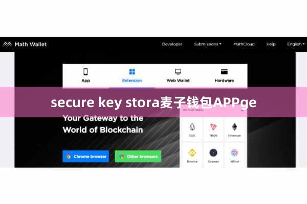 secure key stora麦子钱包APPge