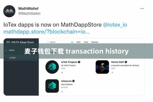 麦子钱包下载 transaction history