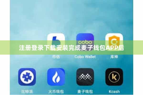 注册登录下载安装完成麦子钱包APP后