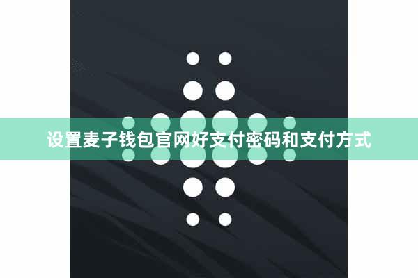 设置麦子钱包官网好支付密码和支付方式