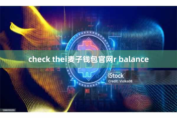 check thei麦子钱包官网r balance